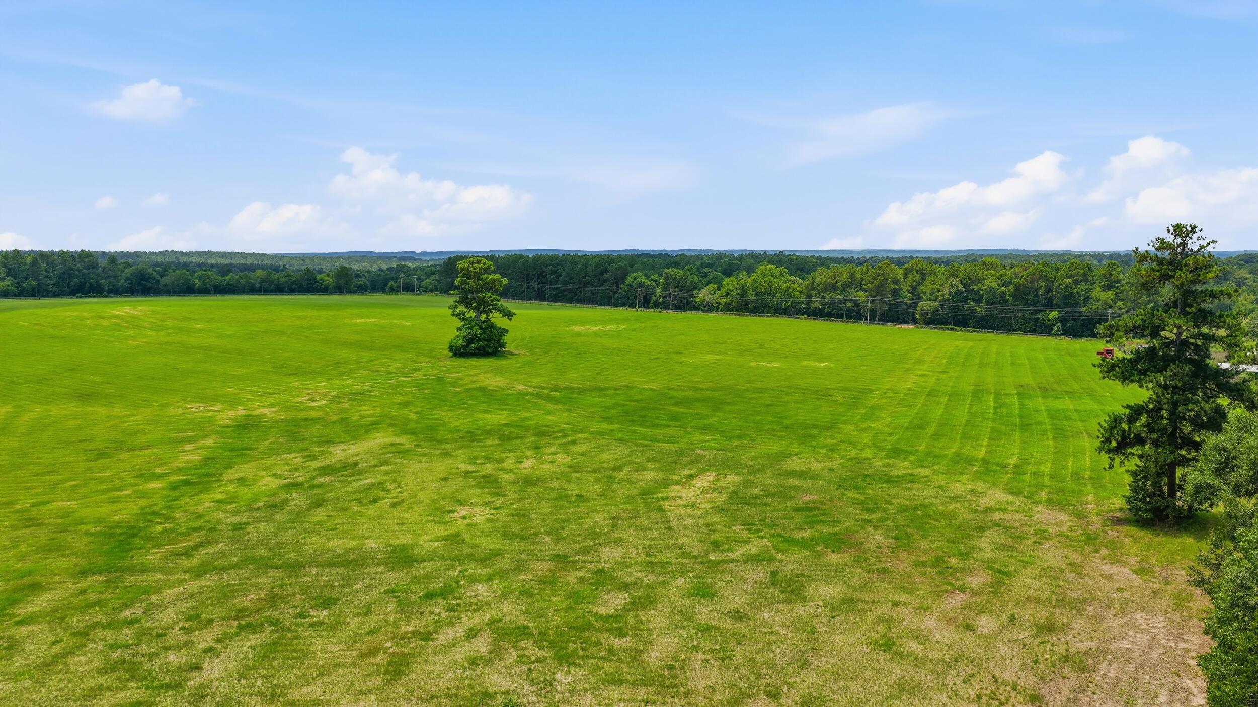 0 Bodie Road Wagener, SC 29164 - Photo 10 of 21