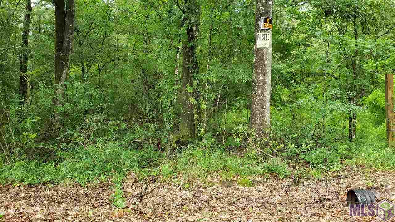 0 Lard Road Holden, LA 70744 - Photo 2 of 3 Gallery Image 2