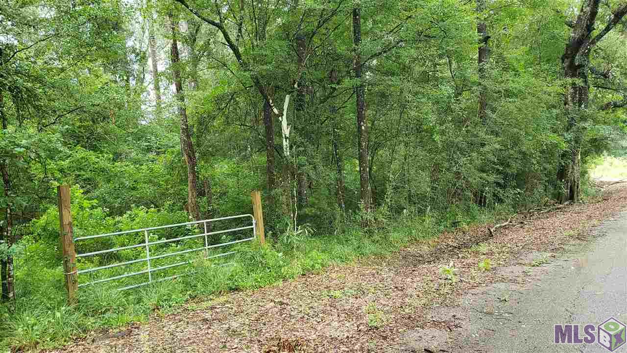 0 Lard Road Holden, LA 70744 - Photo 3 of 3 Gallery Image 3