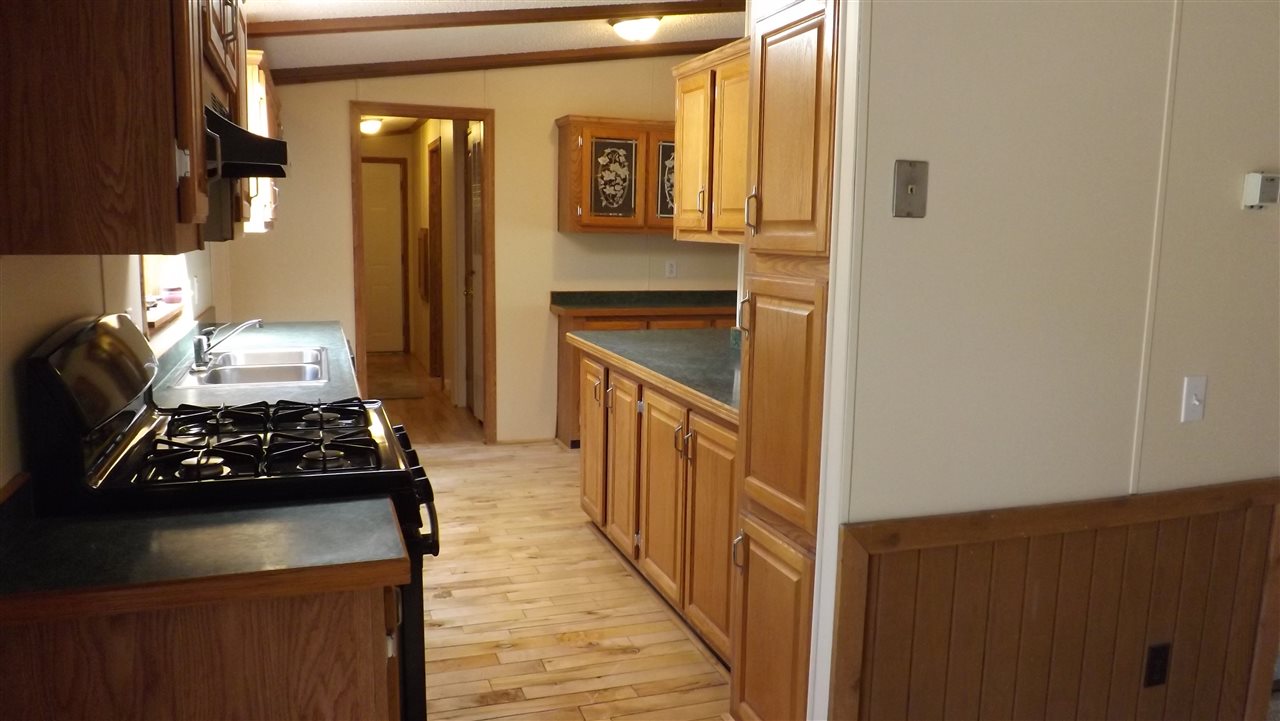 3674 Grace Road Frankfort, MI 49635 - Photo 4 of 15 1846207-3.JPG