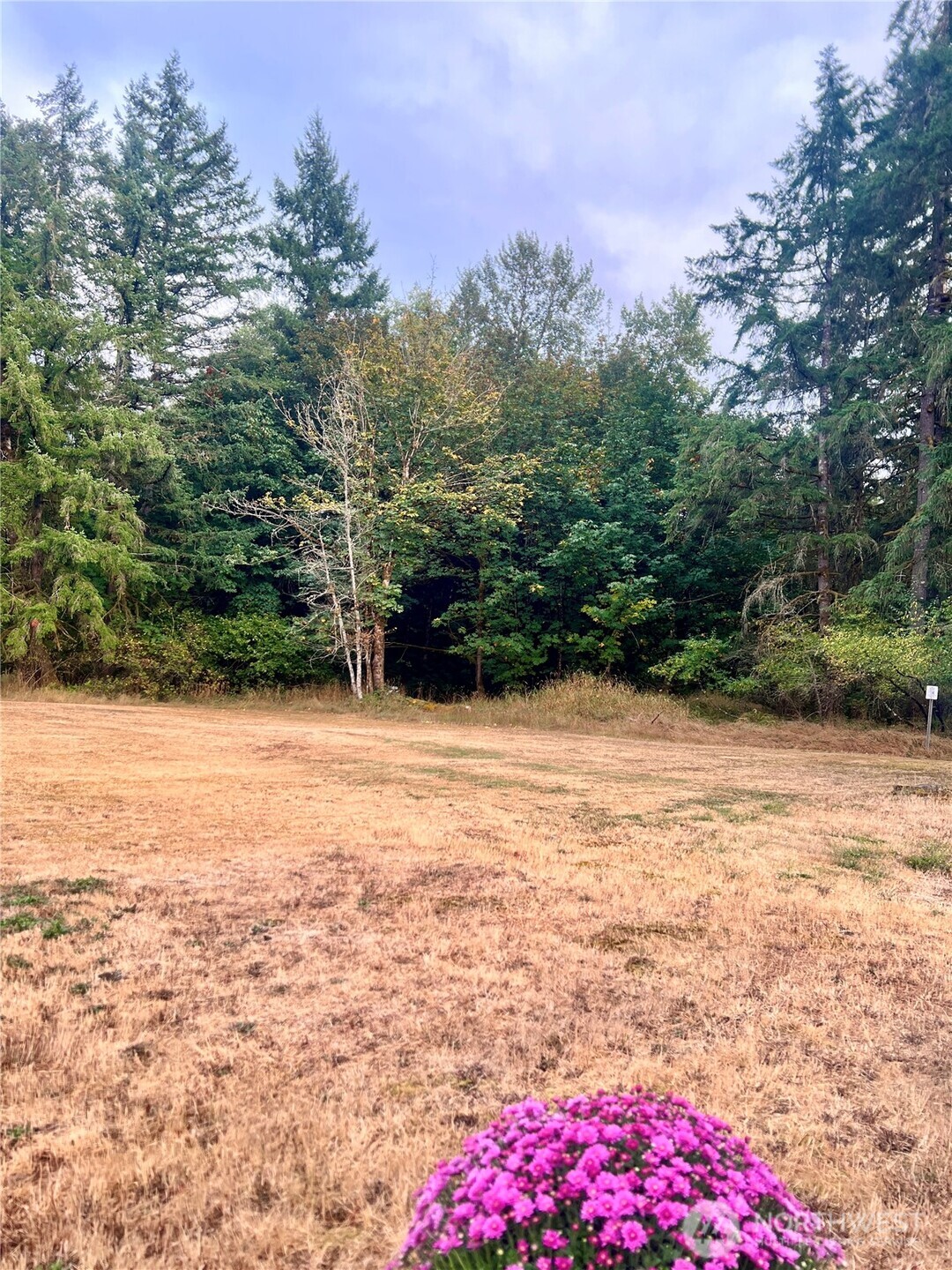 10324 Delphi Road Southwest, Unit 29 Olympia, WA 98512 - Photo 39 of 40 Gallery Image 39