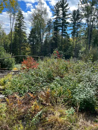 $219,000 | 0 Evergreen Drive, Dalton, NH 03598