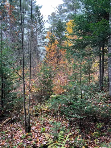 $219,000 | 0 Evergreen Drive, Dalton, NH 03598