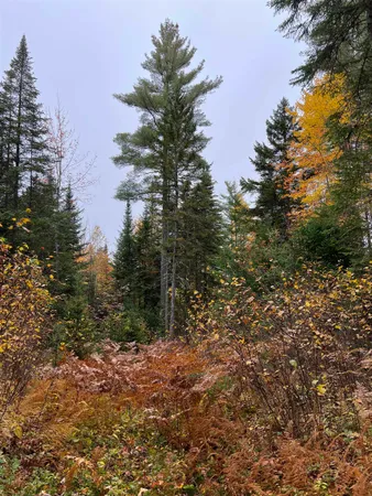 $219,000 | 0 Evergreen Drive, Dalton, NH 03598