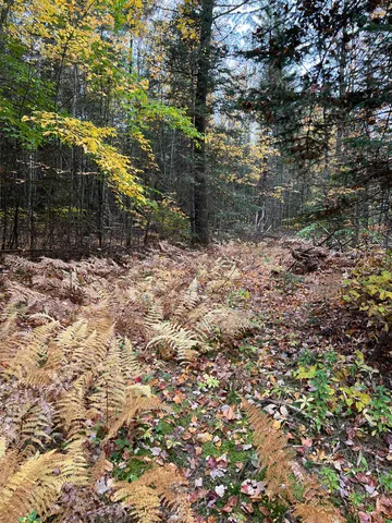 $219,000 | 0 Evergreen Drive, Dalton, NH 03598