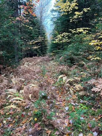 $219,000 | 0 Evergreen Drive, Dalton, NH 03598