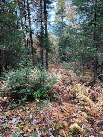 $219,000 | 0 Evergreen Drive, Dalton, NH 03598