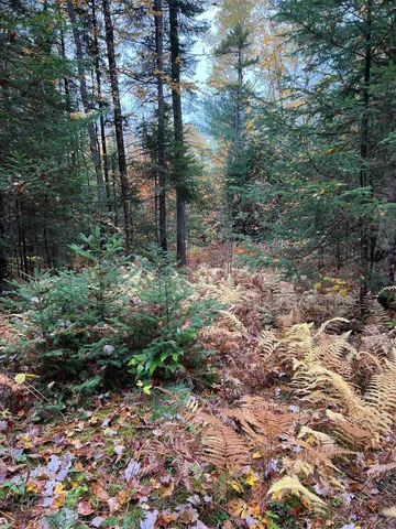 $219,000 | 0 Evergreen Drive, Dalton, NH 03598