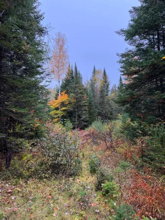 $219,000 | 0 Evergreen Drive, Dalton, NH 03598