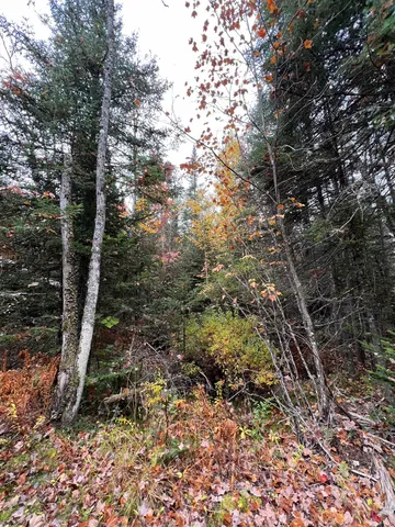 $219,000 | 0 Evergreen Drive, Dalton, NH 03598