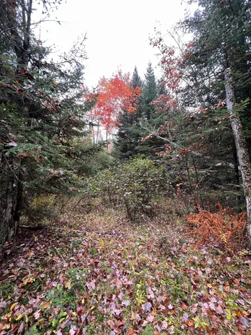 $219,000 | 0 Evergreen Drive, Dalton, NH 03598