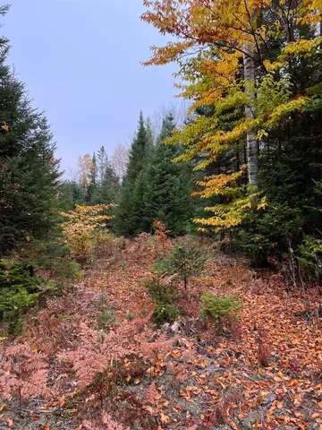 $219,000 | 0 Evergreen Drive, Dalton, NH 03598