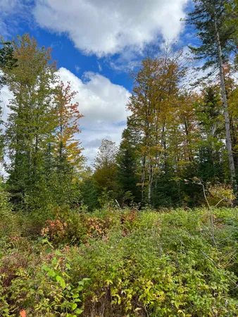 $219,000 | 0 Evergreen Drive, Dalton, NH 03598