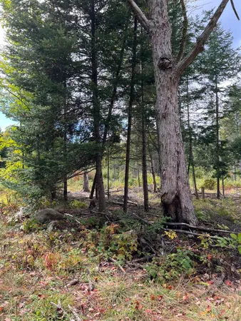 $219,000 | 0 Evergreen Drive, Dalton, NH 03598