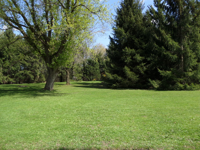 43W318 McDonald Road Elgin, IL 60124 - Photo 5 of 22