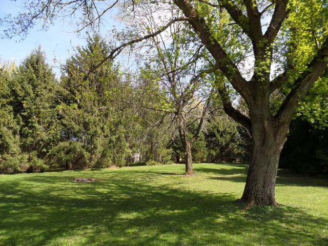 43W318 McDonald Road Elgin, IL 60124 - Photo 6 of 22