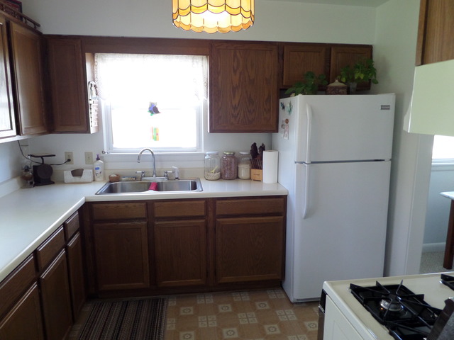 43W318 McDonald Road Elgin, IL 60124 - Photo 8 of 22