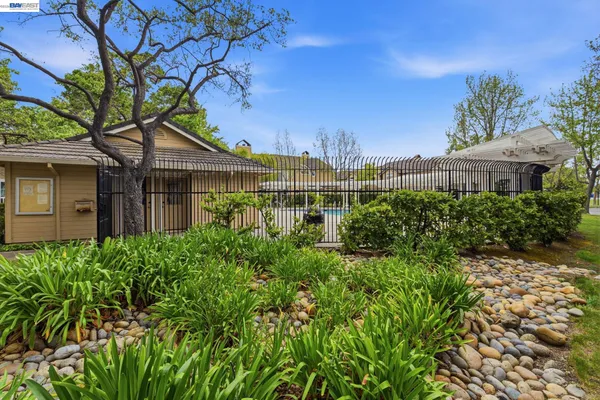 a view of a house with a yard and potted plants