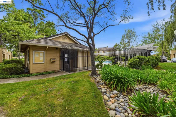 a backyard of a house with plants and large tree