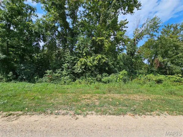 $399,000 | Lot 1-2 Ext Deer Run, Van Buren, MO 63965