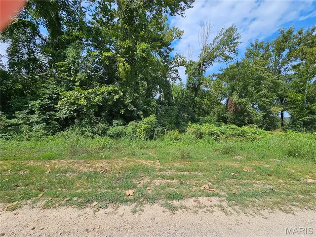 $399,000 | Lot 1-2 Ext Deer Run, Van Buren, MO 63965