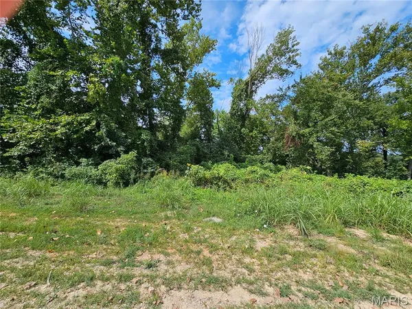 $399,000 | Lot 1-2 Ext Deer Run, Van Buren, MO 63965