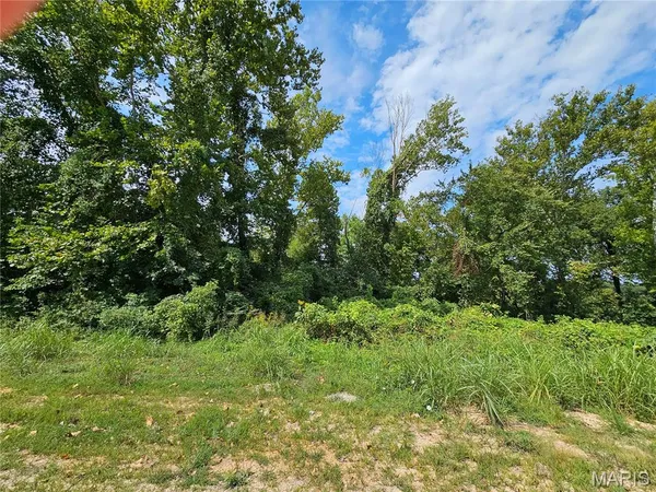 $399,000 | Lot 1-2 Ext Deer Run, Van Buren, MO 63965