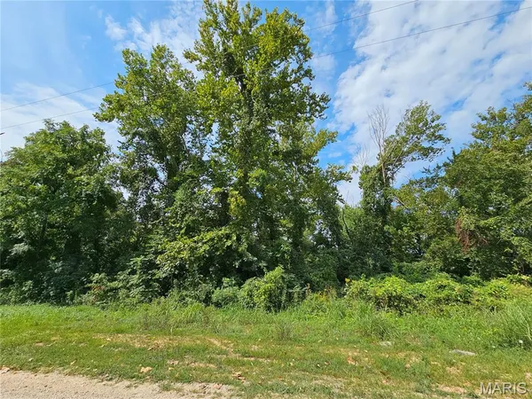 $399,000 | Lot 1-2 Ext Deer Run, Van Buren, MO 63965