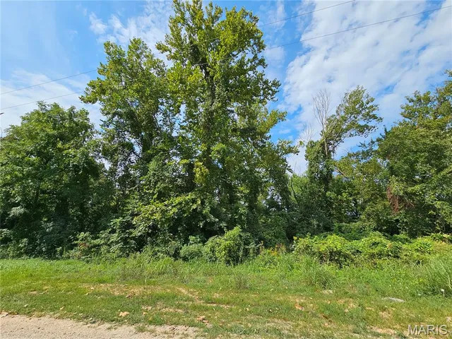 $399,000 | Lot 1-2 Ext Deer Run, Van Buren, MO 63965