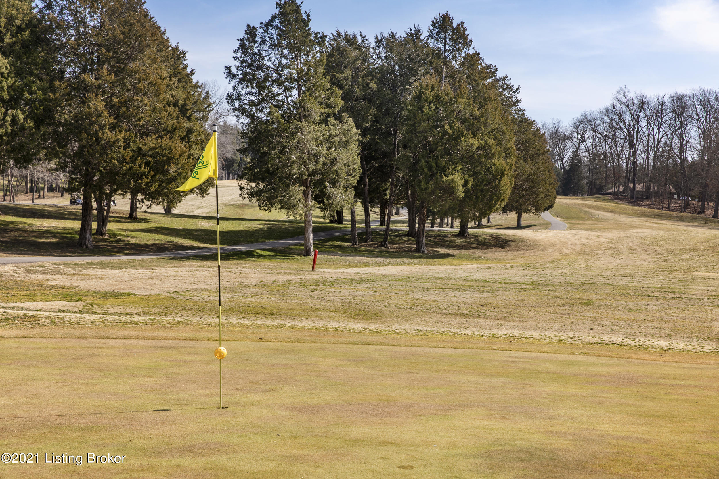 355 Sunny View Road Brandenburg, KY 40108 - Photo 71 of 76 Golf Course View