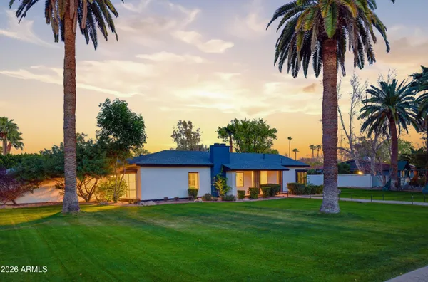 a view of a yard in front of a house with a palm tree