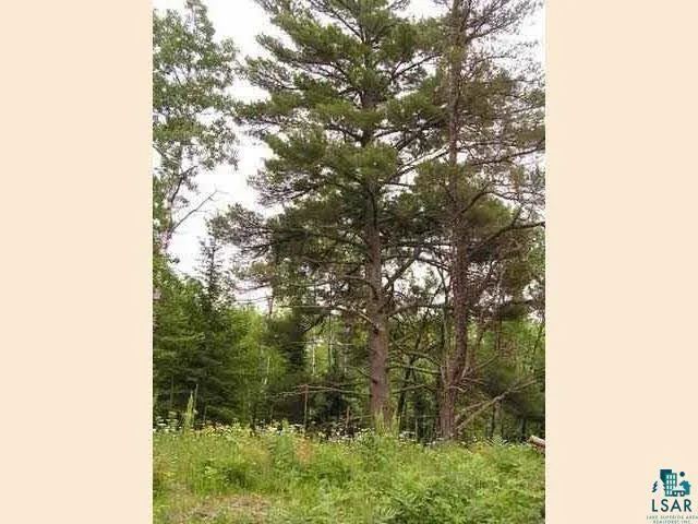 $155,000 | 1687 Golden Ridge Trail, Ely, MN 55731