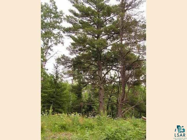 1687 Golden Ridge Trail Ely, MN 55731 - Photo 1 of 15