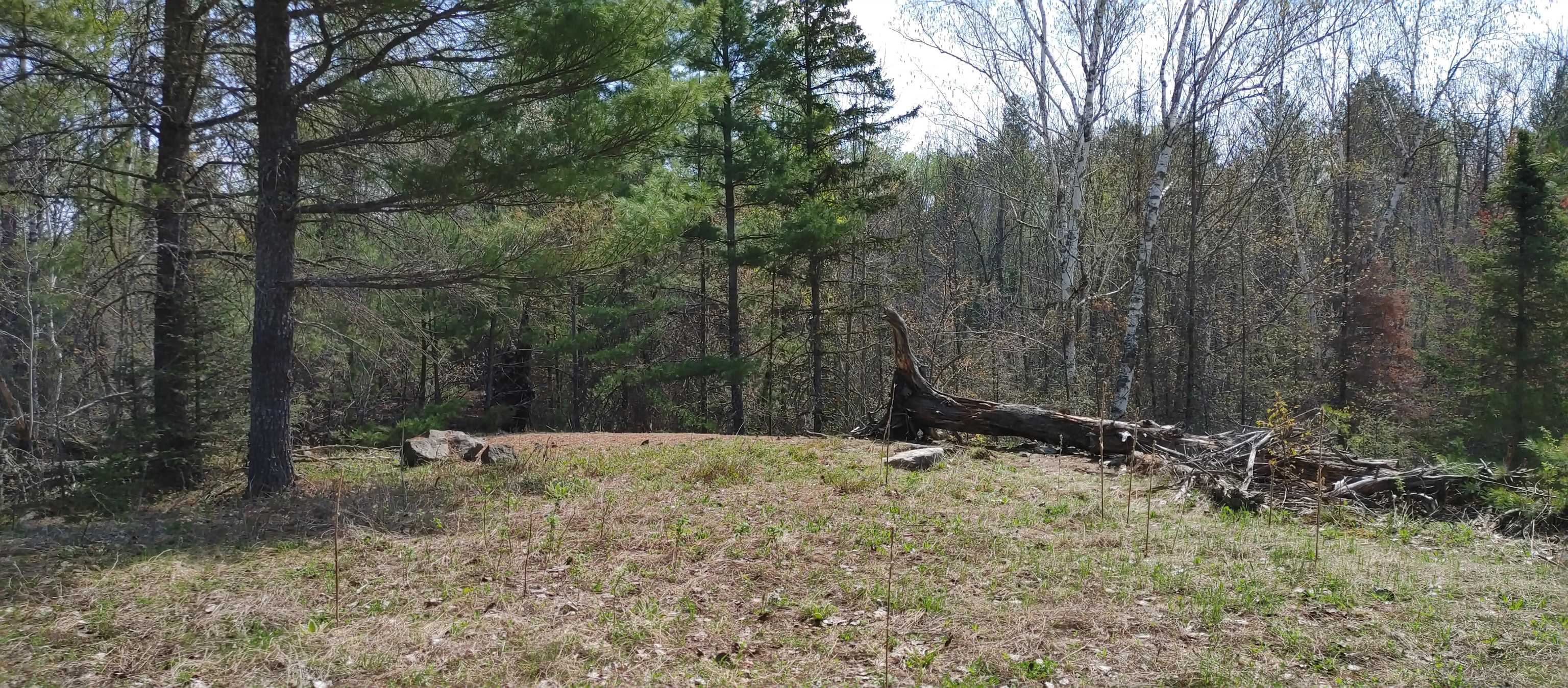 1687 Golden Ridge Trail Ely, MN 55731 - Photo 11 of 15