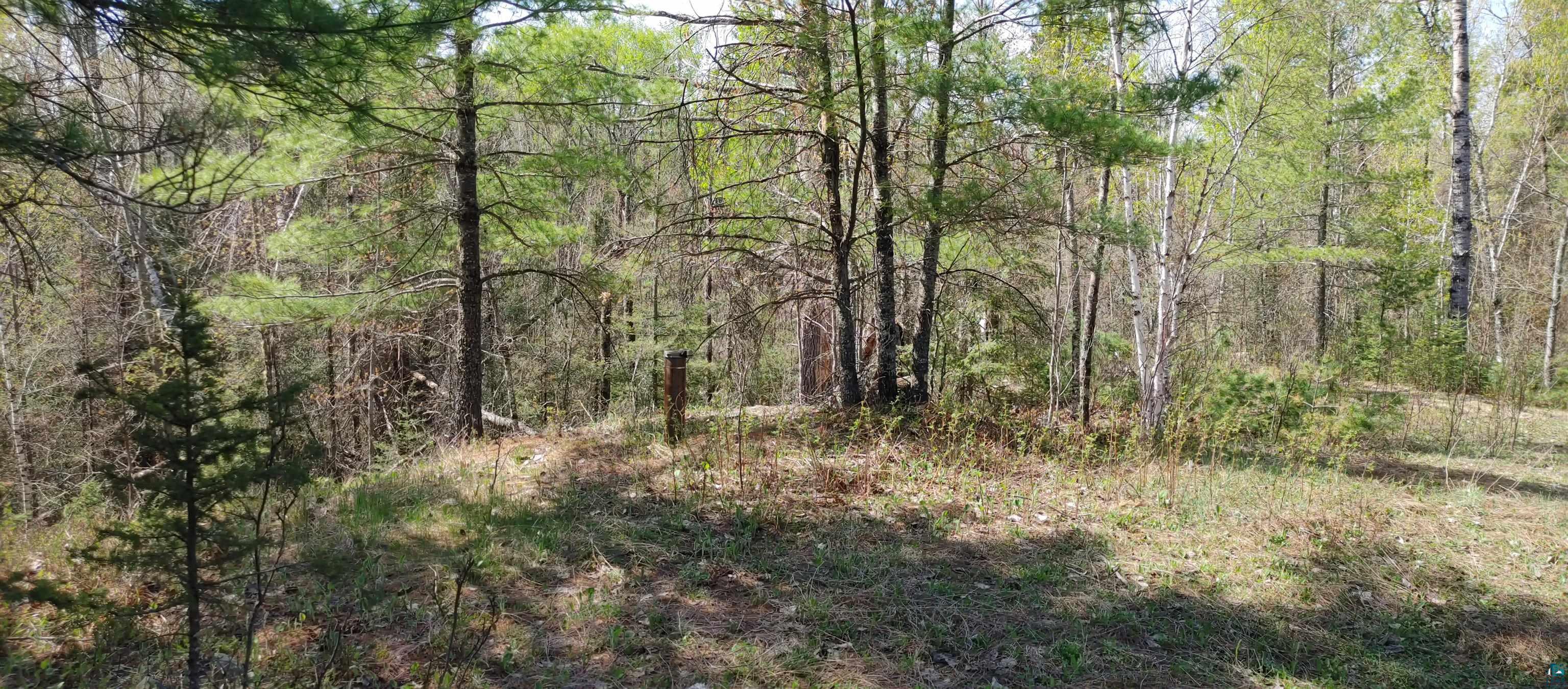 1687 Golden Ridge Trail Ely, MN 55731 - Photo 12 of 15