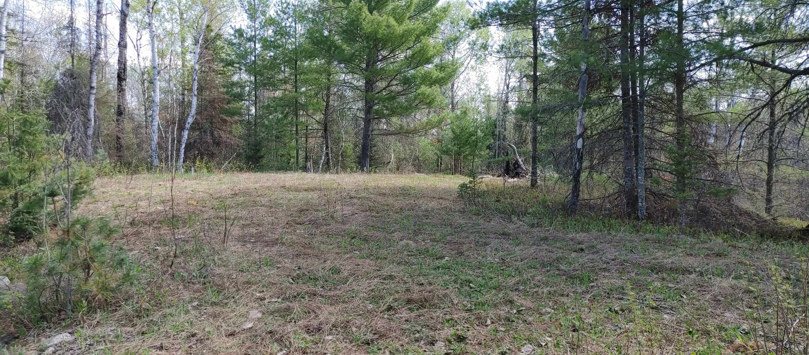 1687 Golden Ridge Trail Ely, MN 55731 - Photo 13 of 15