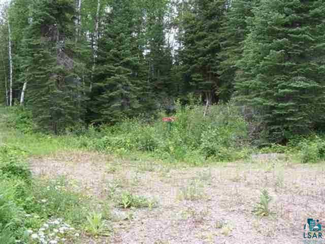 1687 Golden Ridge Trail Ely, MN 55731 - Photo 4 of 15