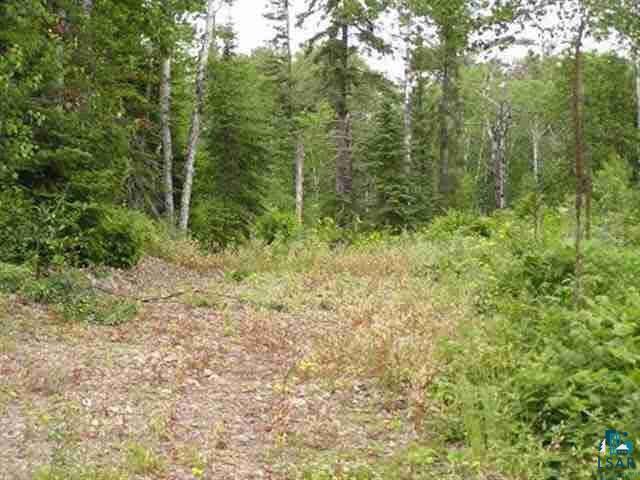 1687 Golden Ridge Trail Ely, MN 55731 - Photo 5 of 15