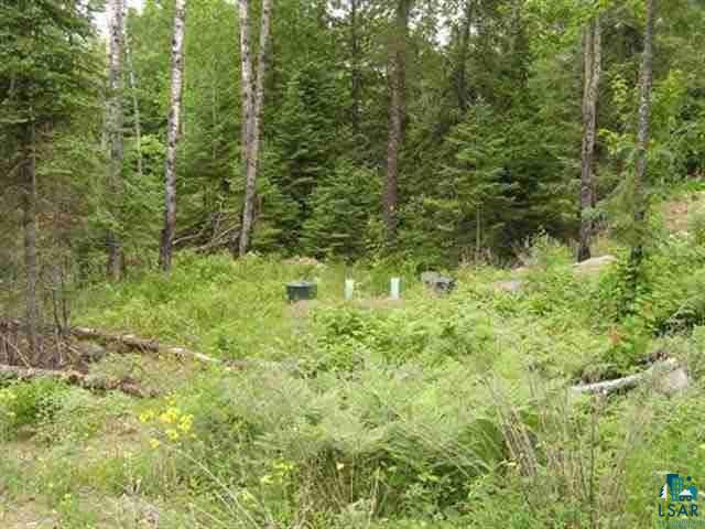 1687 Golden Ridge Trail Ely, MN 55731 - Photo 6 of 15