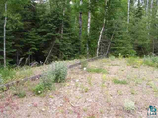 1687 Golden Ridge Trail Ely, MN 55731 - Photo 7 of 15