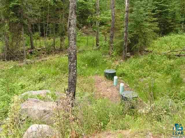 1687 Golden Ridge Trail Ely, MN 55731 - Photo 8 of 15