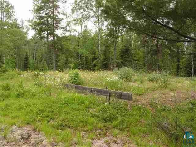 1687 Golden Ridge Trail Ely, MN 55731 - Photo 9 of 15