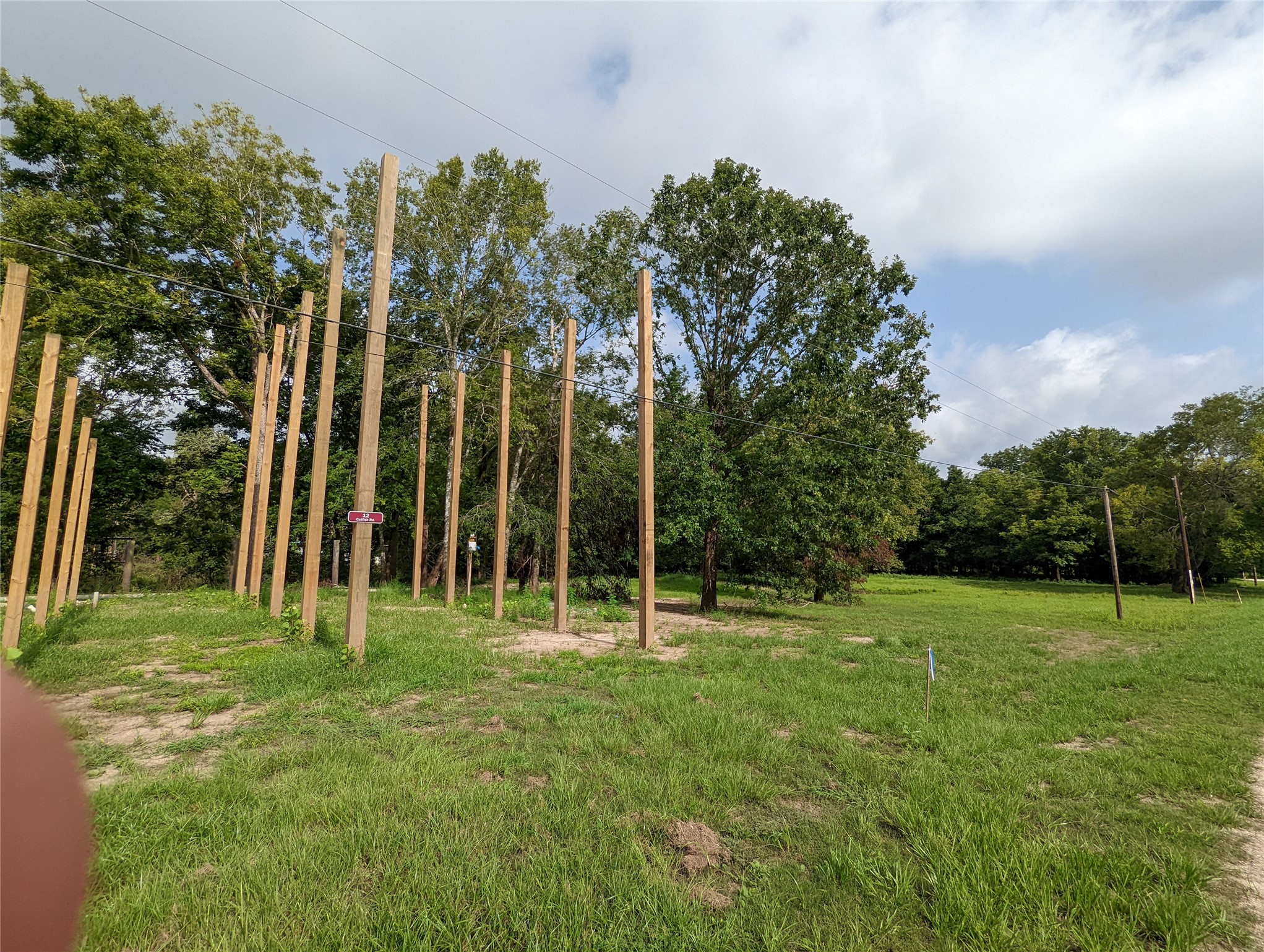 12 Catfish Road Trinity, TX 75862 - Photo 2 of 4 a view of a park with large trees