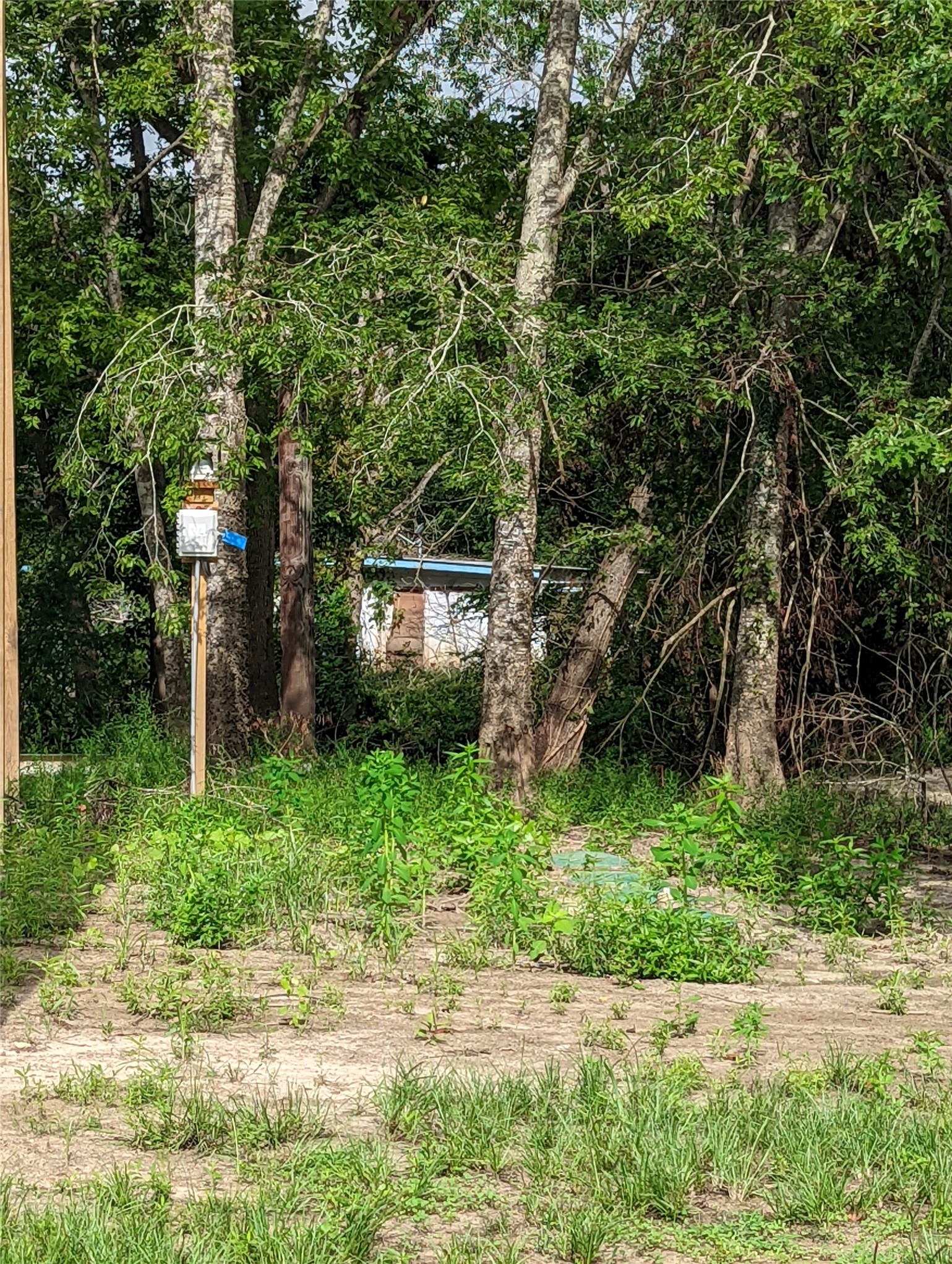 12 Catfish Road Trinity, TX 75862 - Photo 4 of 4 a view of a back yard