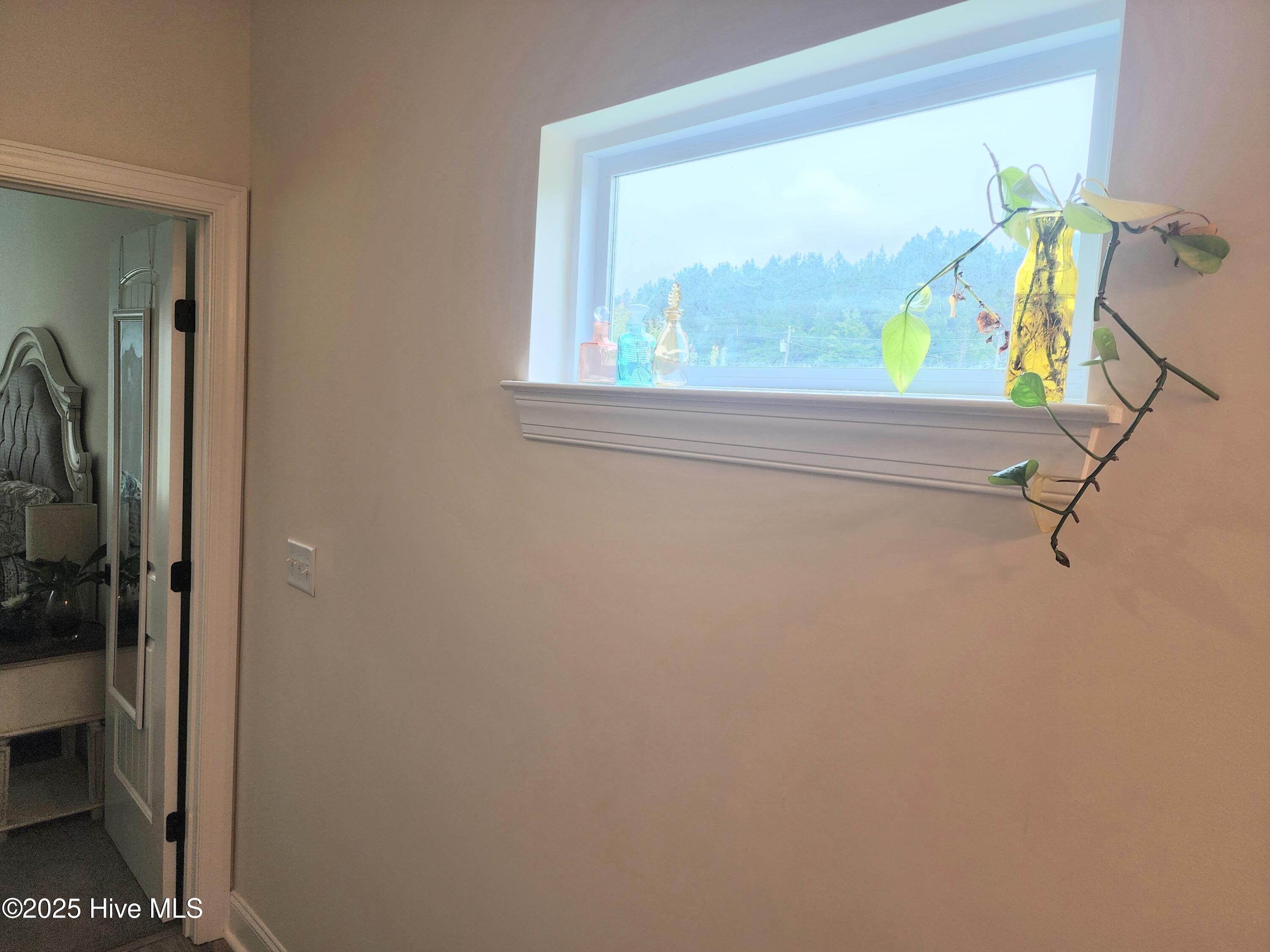 3763 Piney Woods Road Burgaw, NC 28425 - Photo 18 of 38 Owner's suite bathroom