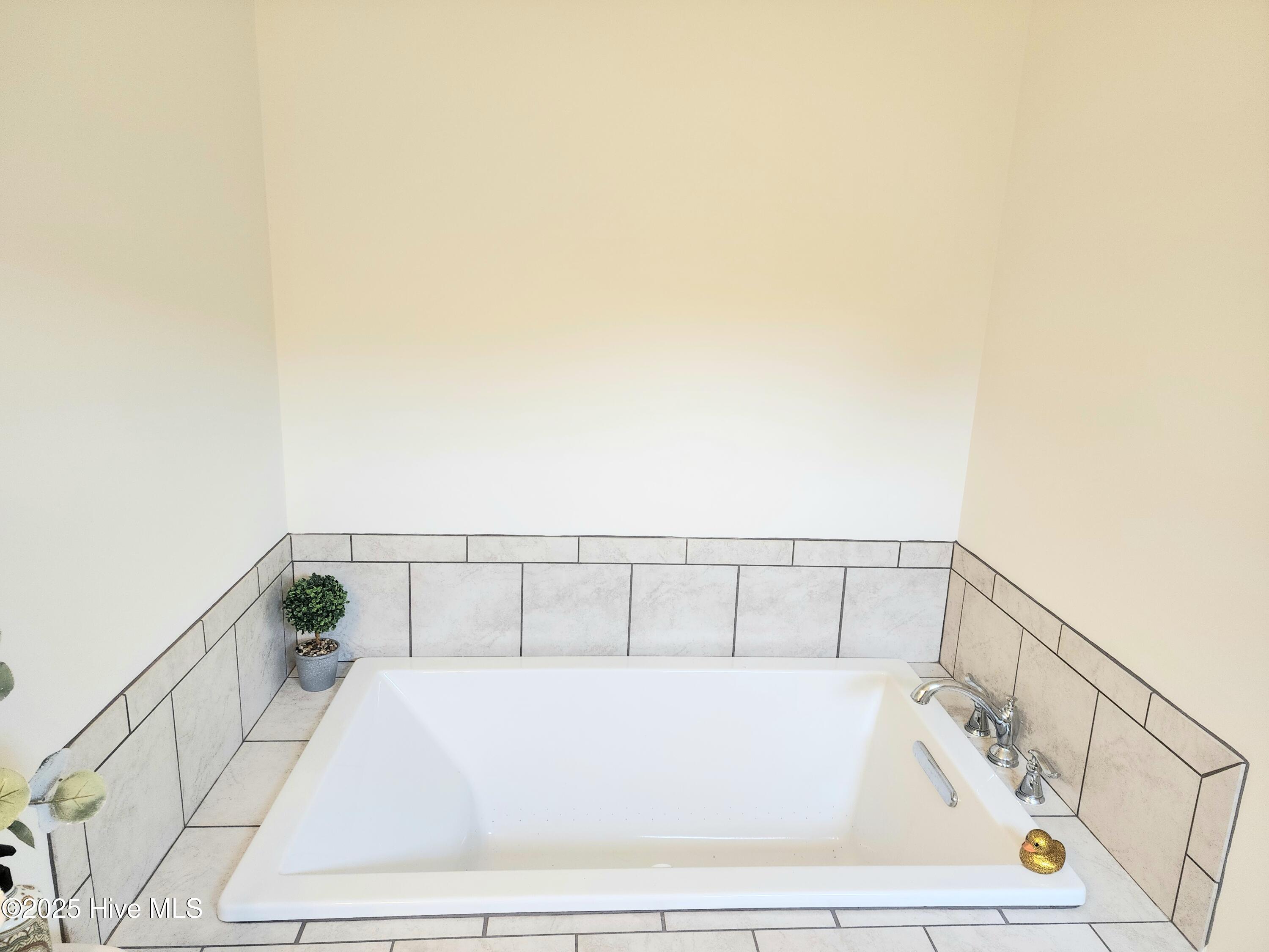 3763 Piney Woods Road Burgaw, NC 28425 - Photo 21 of 38 Owner's suite bathroom