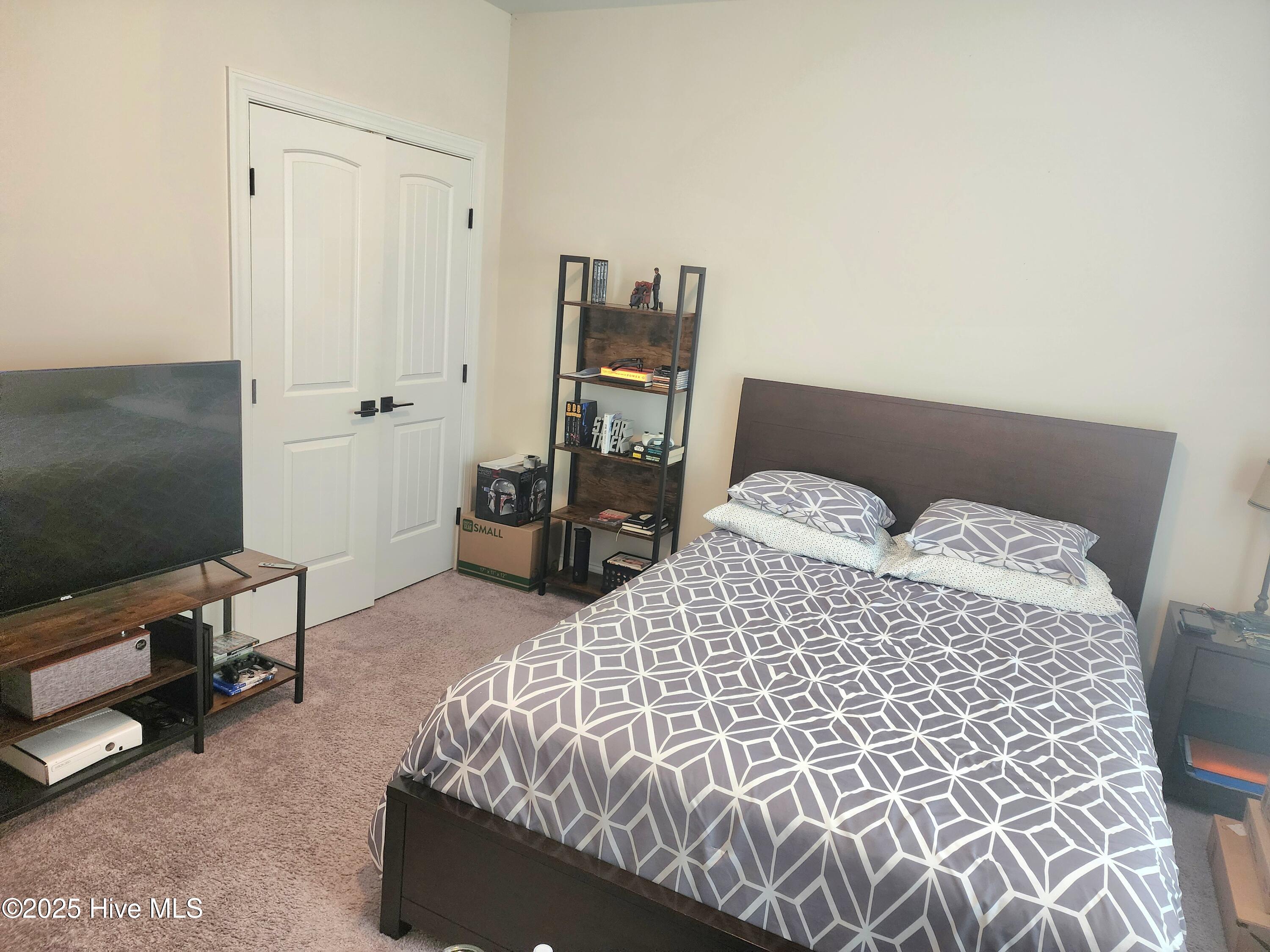 3763 Piney Woods Road Burgaw, NC 28425 - Photo 22 of 38 Bedroom 1