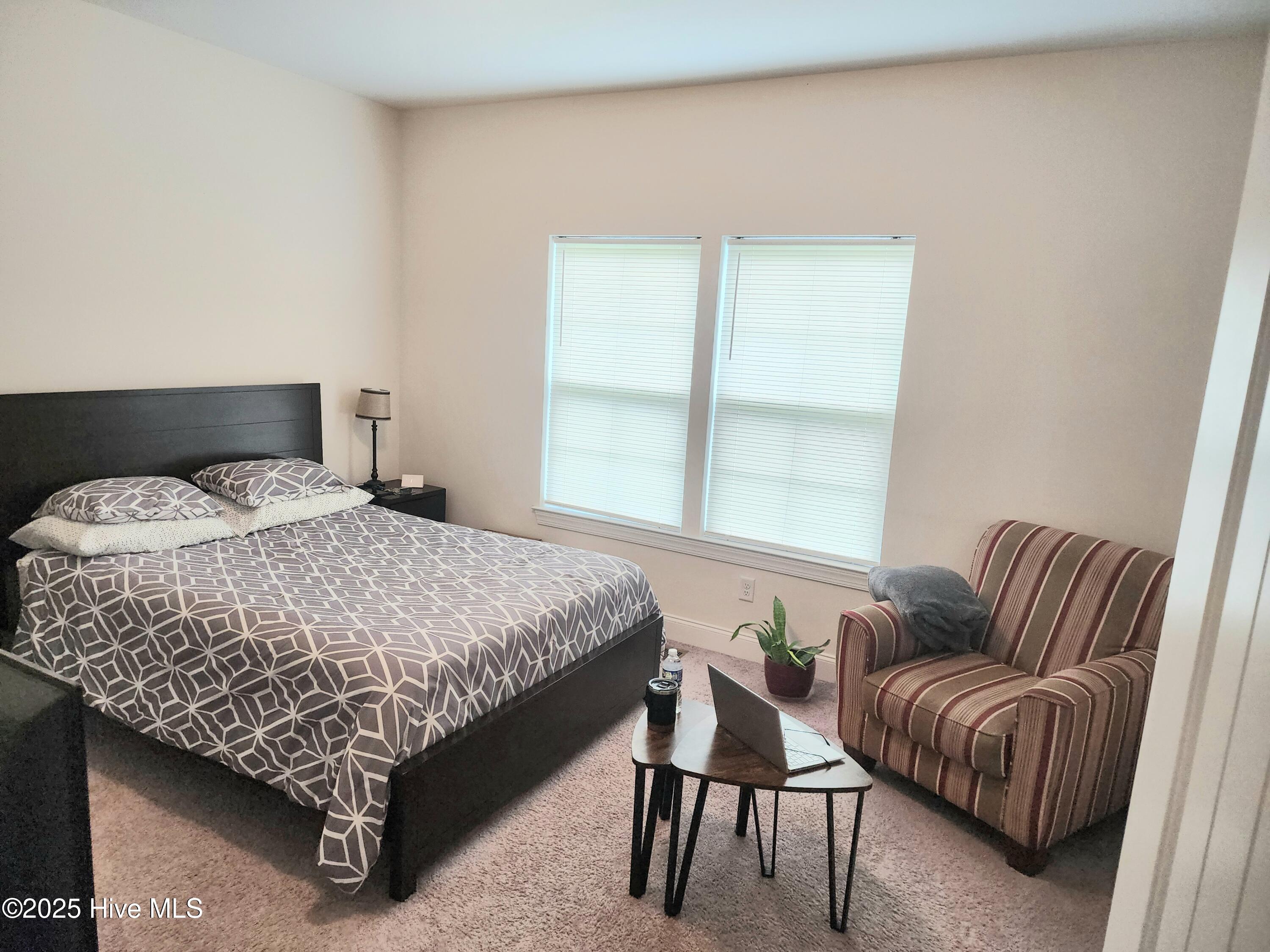 3763 Piney Woods Road Burgaw, NC 28425 - Photo 23 of 38 Bedroom 1