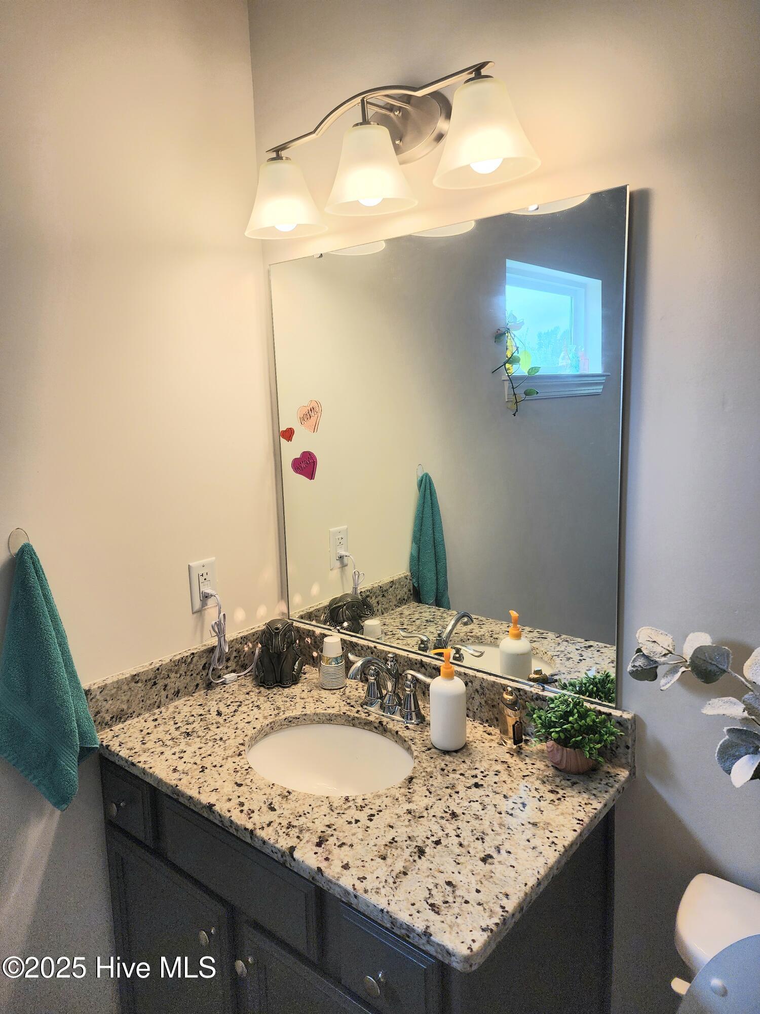 3763 Piney Woods Road Burgaw, NC 28425 - Photo 33 of 38 Bonus room bathroom