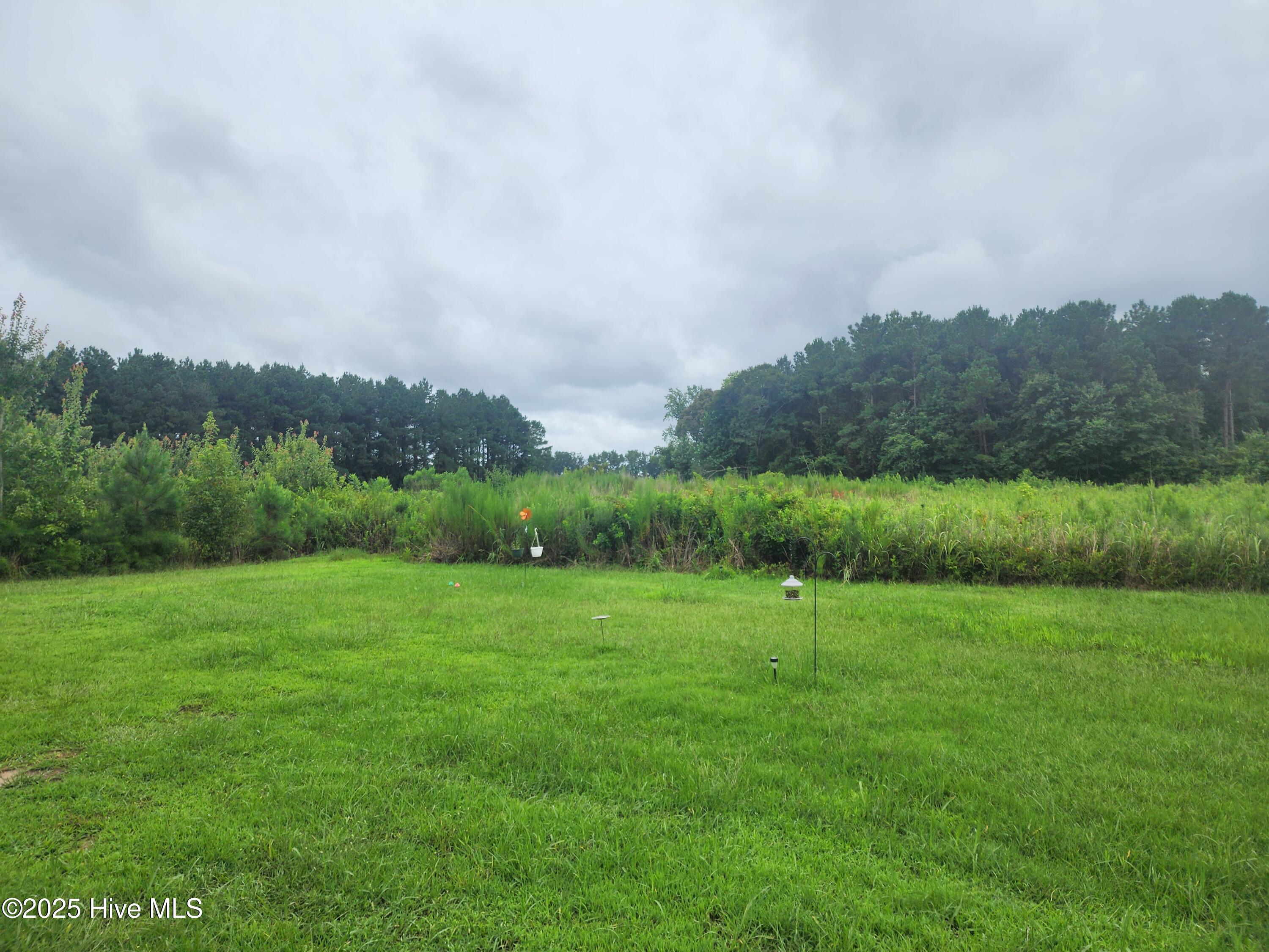 3763 Piney Woods Road Burgaw, NC 28425 - Photo 37 of 38 Backyard